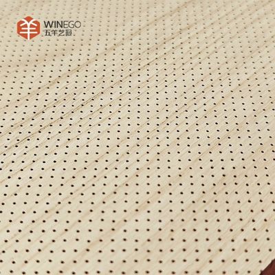 Customizable Micro Perforated Acoustic Panels For Versatile Installations