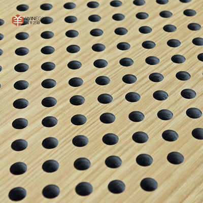 Architectural Perforated Acoustic Panel Ceiling & Wall Installation for Auditoriums