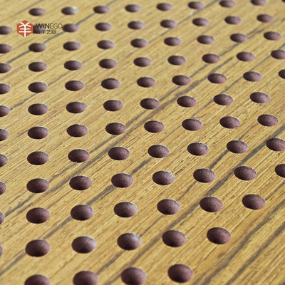 Versatile Finishes and Eco-friendly Perforated Acoustic Panel for Schools